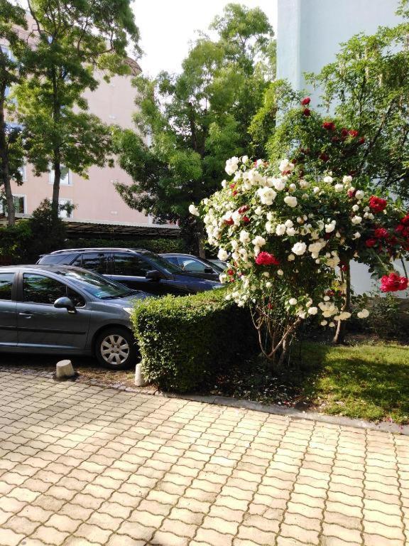 Guest Apartment Dental Space Sunny Beach Exterior photo